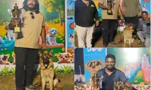 जर्मन शेफर्ड स्पेशलिटी डांग शो में श्री सुमेरु मठ रायपुर, अघोर मठ मड़ेली के Dog Oscar ने मारी बाजी