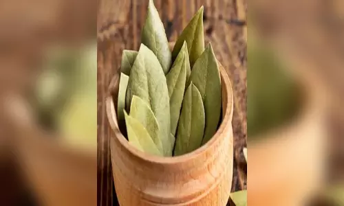 स्वाद ही नहीं बढ़ाता सेहत भी बनाता है रसोई घर में रखा ये मसाला स्वाद ही नहीं बढ़ाता सेहत भी बनाता है रसोई घर में रखा ये मसाला