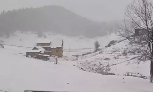 Gulmarg में ताज़ा बर्फबारी हुई, विंटर वंडरलैंड में तब्दील