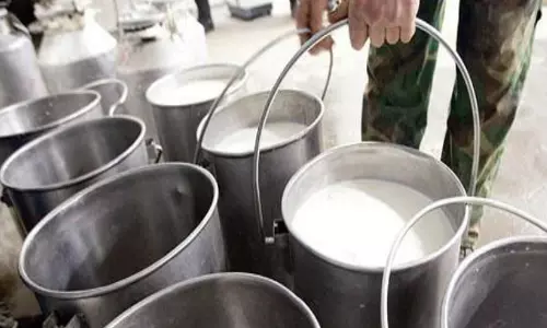 छत्तीसगढ़ में दुग्ध उत्पादन 8.62 फीसदी बढ़ा छत्तीसगढ़ में दुग्ध उत्पादन 8.62 फीसदी बढ़ा