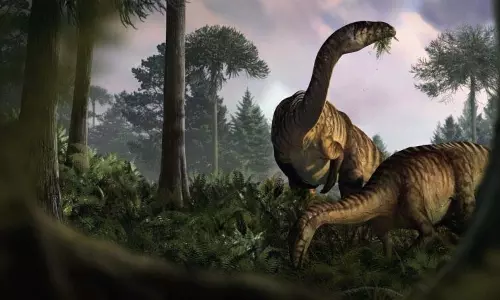 Dinosaurs के मल को जीवाश्मों से प्राचीन पृथ्वी की झलक Dinosaurs के मल को जीवाश्मों से प्राचीन पृथ्वी की झलक