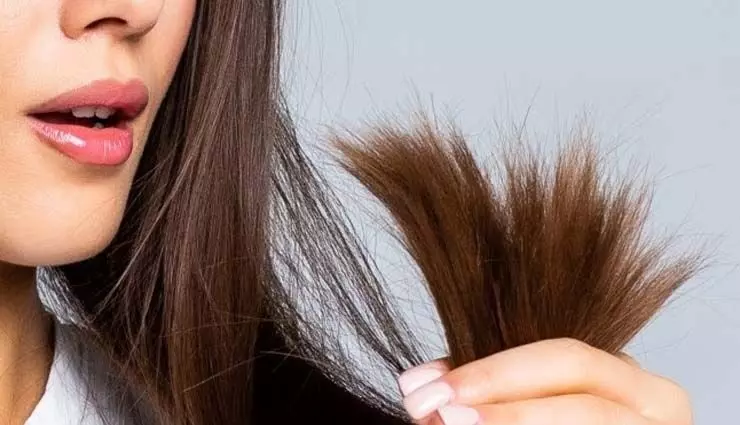 Hair Care: रूखे और झड़ते बालों से पाना  हैं छुटकारा,  जादुई तेल से करें मसाज