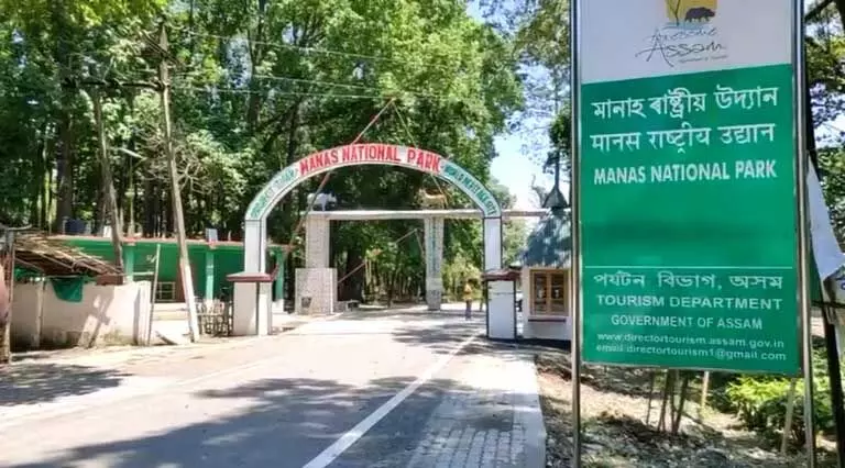 Assam : मानस राष्ट्रीय उद्यान ने दो महीने में 33 लाख रुपये का राजस्व एकत्र किया