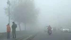 Weather: इंदौर में तापमान गिरा, कड़ाके की सर्दी पड़ी, सुबह से कोहरा