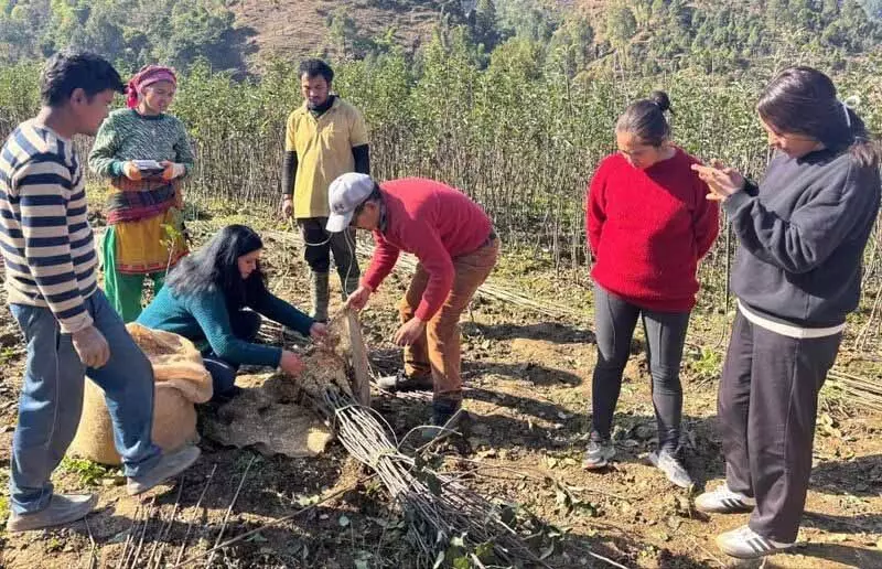 Himachal: विदेशी फलों के पौधों से बागवानी को बढ़ावा दिया