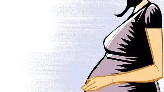 Maternal deaths : कर्नाटक सरकार ने जांच के लिए चार सदस्यीय पैनल का गठन किया