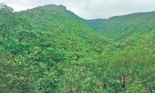 Karnataka: कर्नाटक की देवदरी पहाड़ियों में खनन प्रस्ताव से औषधीय पौधों को खतरा Karnataka: कर्नाटक की देवदरी पहाड़ियों में खनन प्रस्ताव से औषधीय पौधों को खतरा