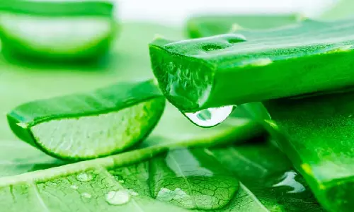 Skin Care: त्वचा संबंधी समस्याओं के लिए वरदान है बेसन, घर पर ऐसे बनाएं फेस पैक