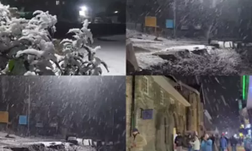 हिमाचल में सीजन की पहली बर्फबारी, शिमला और किन्नौर में लुढ़का पारा हिमाचल में सीजन की पहली बर्फबारी, शिमला और किन्नौर में लुढ़का पारा
