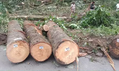 Assam: बुनियादी ढांचा परियोजनाओं के लिए 102.37 हेक्टेयर वन भूमि हस्तांतरित करने का प्रस्ताव