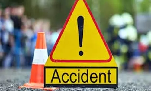 Haryana:  बस की चपेट में आने से एक युवक और गाय की मौत,  चालक फरार