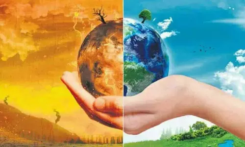 2024 अब तक का सबसे गर्म साल होगा: EU scientists