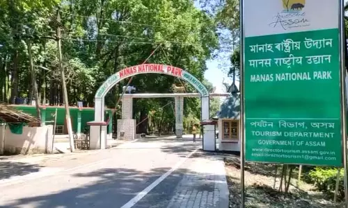 Assam : मानस राष्ट्रीय उद्यान ने दो महीने में 33 लाख रुपये का राजस्व एकत्र किया