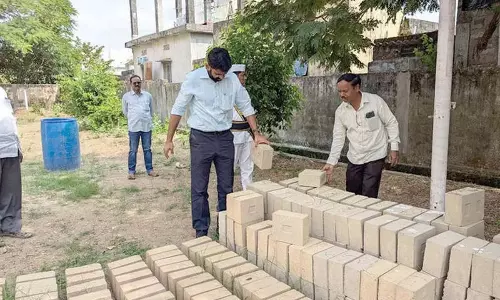 प्राकृतिक निर्माण सामग्री का उपयोग करें: Collector