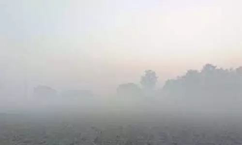 Weather Update:   यूपी में पड़ेगी कड़ाके की ठंड,कई जिलों में घना कोहरा