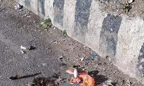 Himachal: सड़क पर टूटे शीशे, शिमला के वन्य क्षेत्रों में कूड़ा