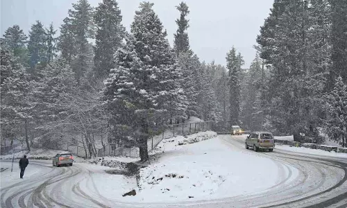 ऊंचे इलाकों में ताजा बर्फबारी, मुगल रोड बंद ऊंचे इलाकों में ताजा बर्फबारी, मुगल रोड बंद