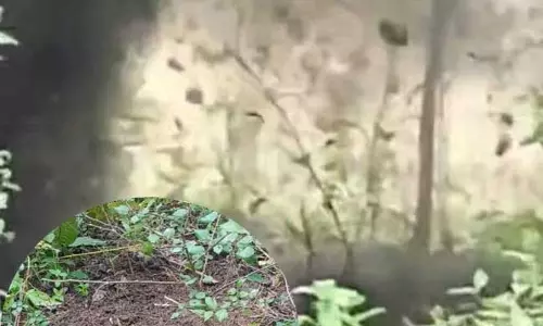 पहाड़ी के पास जवानों को उड़ाने की साजिश नाकाम, IED बरामद