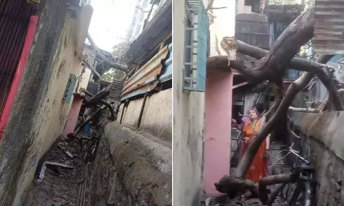 Mumbai: गोरेगांव में पेड़ की टहनी गिरने से मकान क्षतिग्रस्त Mumbai: गोरेगांव में पेड़ की टहनी गिरने से मकान क्षतिग्रस्त