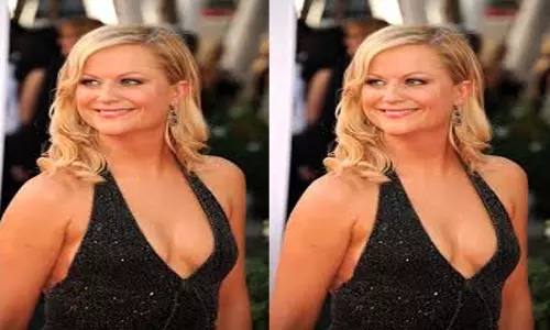Amy Poehler ने बताया कि कैसे इनसाइड आउट फिल्मों ने उनके जीवन को बदल दिया Amy Poehler ने बताया कि कैसे इनसाइड आउट फिल्मों ने उनके जीवन को बदल दिया
