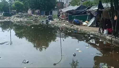 Noida: तालाबों में गंदगी होने से बीमारियां भी पनप रही