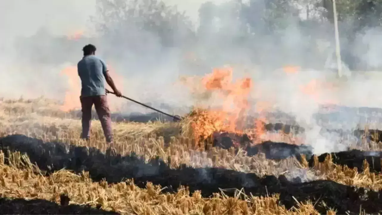 Lucknow: पराली जलाने का 4 साल का रिकॉर्ड टूटा