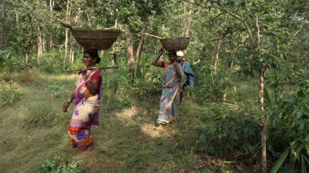 Kullu: ग्रामीण क्षेत्र में लोग सामाजिक कुरीतियों से पीछा छुड़ाने लगे