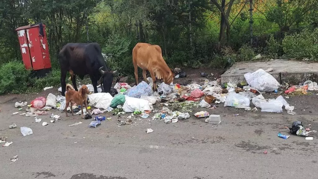 Pune: मोशी स्थित अंतर्राष्ट्रीय प्रदर्शनी केंद्र कूड़े की चपेट में