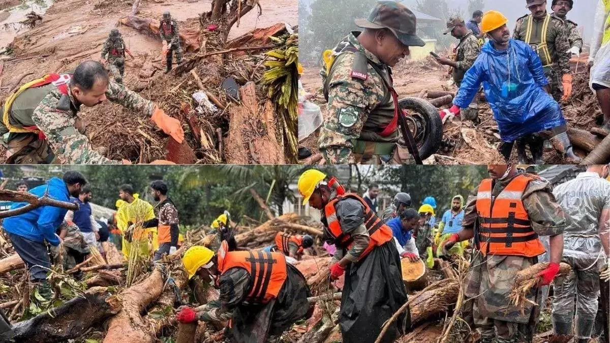 Wayanad भूस्खलन के मृतकों की संख्या 298 पहुंची, डीएनए जांच से 3 और शवों की पहचान हुई