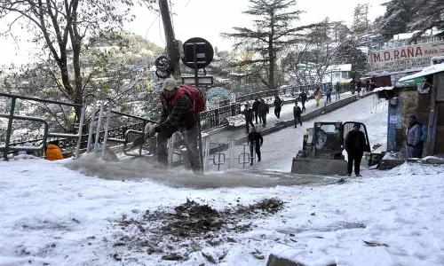 Himachal: शिमला में 2010 के बाद पहली बर्फबारी Himachal: शिमला में 2010 के बाद पहली बर्फबारी