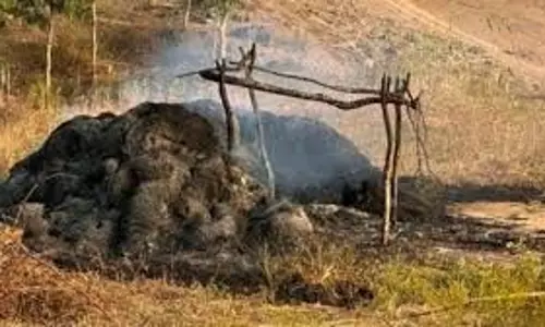 MP News: झोपड़ी में लगी आग, दो मासूम जिंदा जले