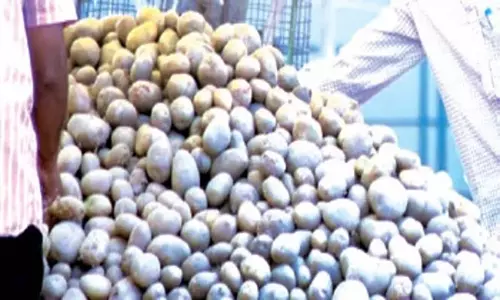 Odisha: सरकार नैफेड आपूर्ति के माध्यम से मूल्य हस्तक्षेप के लिए तैयार Odisha: सरकार नैफेड आपूर्ति के माध्यम से मूल्य हस्तक्षेप के लिए तैयार
