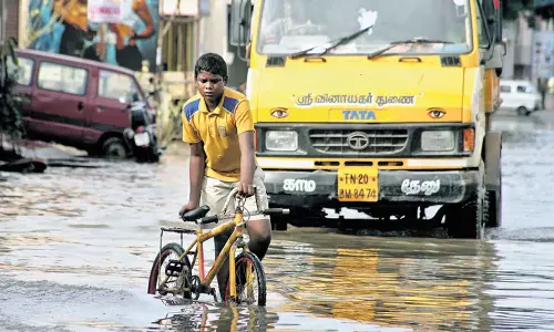 Tamil Nadu: चेन्नई के निवासियों को अपने जलाशयों से प्रेम करना सिखाया जाना चाहिए Tamil Nadu: चेन्नई के निवासियों को अपने जलाशयों से प्रेम करना सिखाया जाना चाहिए