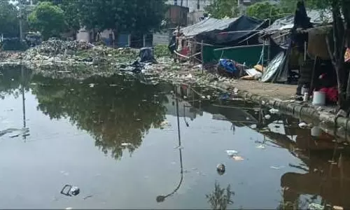 Noida: तालाबों में गंदगी होने से बीमारियां भी पनप रही Noida: तालाबों में गंदगी होने से बीमारियां भी पनप रही