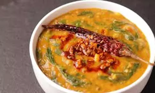 Dhaba style दाल पालक, स्वाद ऐसा हर कोई करेगा डिमांड Dhaba style दाल पालक, स्वाद ऐसा हर कोई करेगा डिमांड