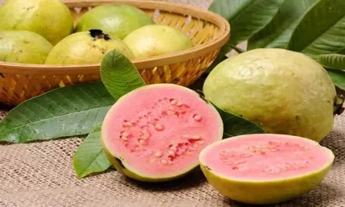 Lifestyle: सर्दियों के मौसम में जरूर करें गुलाबी अमरूद का सेवन