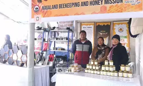 Nagaland मधुमक्खी पालन एवं शहद मिशन ने किसामा में शहद उत्पादों का प्रदर्शन Nagaland मधुमक्खी पालन एवं शहद मिशन ने किसामा में शहद उत्पादों का प्रदर्शन