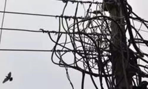 Noida: मार्केट जा रही महिला की करंट लगने से मौत Noida: मार्केट जा रही महिला की करंट लगने से मौत