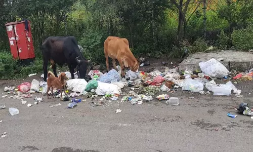 Pune: मोशी स्थित अंतर्राष्ट्रीय प्रदर्शनी केंद्र कूड़े की चपेट में Pune: मोशी स्थित अंतर्राष्ट्रीय प्रदर्शनी केंद्र कूड़े की चपेट में