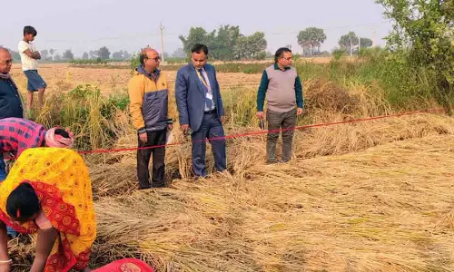DM की मौजूदगी में कराया गया धान फसल कटाई