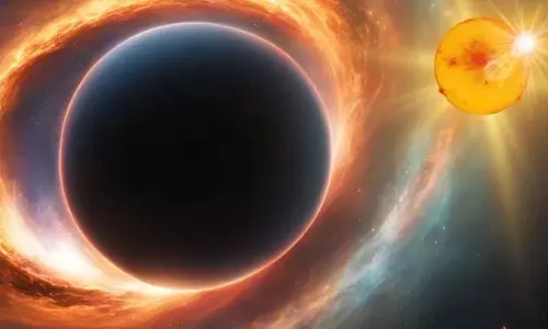 Black Hole साथियों वाले सभी तारे भयानक मौत नहीं मरते Black Hole साथियों वाले सभी तारे भयानक मौत नहीं मरते
