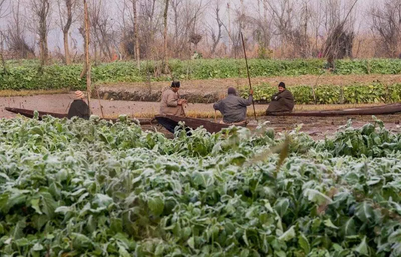 Srinagar में -5.4°C तापमान के साथ सीजन की सबसे ठंडी रात दर्ज की