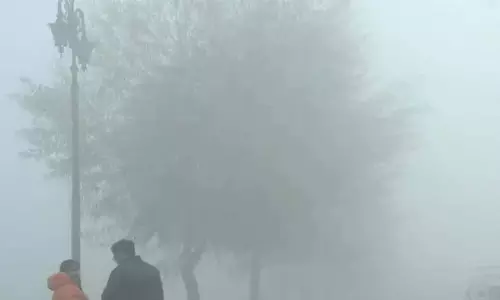 ठंडी हवाओं का असर, छत्तीसगढ़ में पड़ रही शीतलहर ठंडी हवाओं का असर, छत्तीसगढ़ में पड़ रही शीतलहर