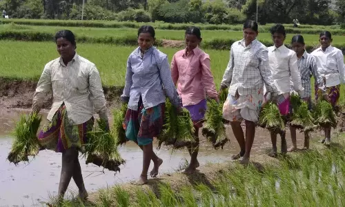 TG: रयथु भरोसा केवल सक्रिय किसानों के लिए TG: रयथु भरोसा केवल सक्रिय किसानों के लिए