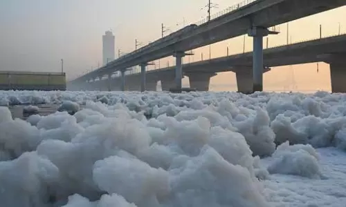 दिल्ली में यमुना में भारी प्रदूषण जारी: Report
