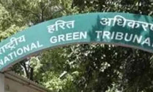 CPCB ने दिल्ली से सैदुलाजाब वन अतिक्रमण पर कार्रवाई करने को कहा CPCB ने दिल्ली से सैदुलाजाब वन अतिक्रमण पर कार्रवाई करने को कहा