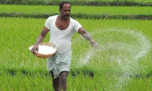 Pratapgarh: गेहूं की बोआई करने के लिए किसान तलाश रहे डीएपी और यूरिया