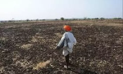 Jhansi: जनपद भर में दो लाख हेक्टेयर से अधिक में बुआई होनी बाकी Jhansi: जनपद भर में दो लाख हेक्टेयर से अधिक में बुआई होनी बाकी