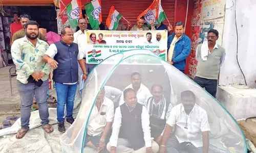Mosquito Menace: कांग्रेस ने सीएमसी कमिश्नर के खिलाफ एफआईआर दर्ज कराई Mosquito Menace: कांग्रेस ने सीएमसी कमिश्नर के खिलाफ एफआईआर दर्ज कराई