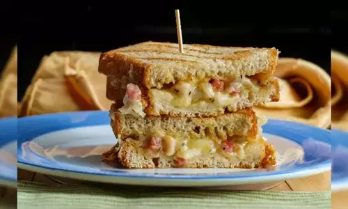 Different Sandwich Recipe: बोरिंग पार्टी स्नैक्स की जगह ट्राई करें ये मज़ेदार सैंडविच